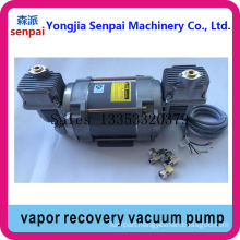Dull Double-Heads 220V/380V Vapor Recovery Pump Vacuum Pump